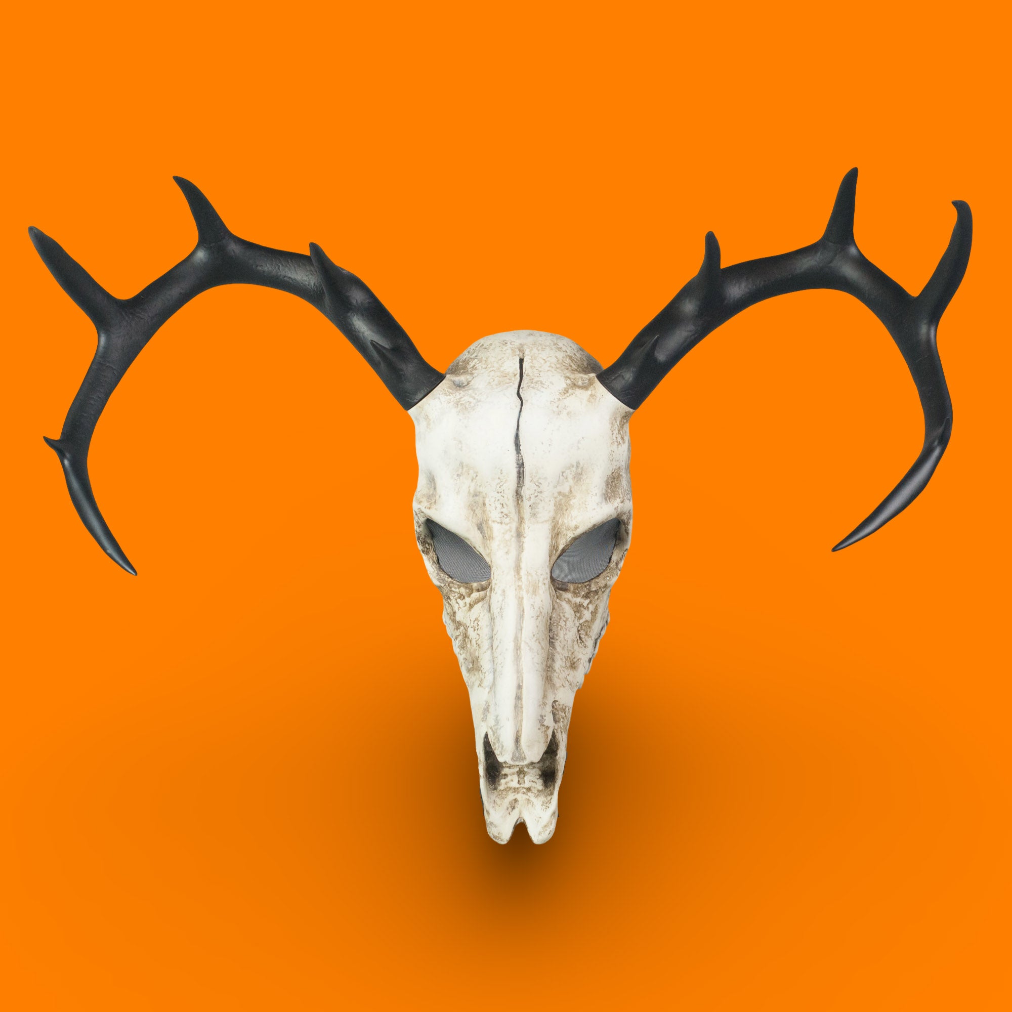 Deer Skull Mask with Large Black Antlers / Halloween Mask