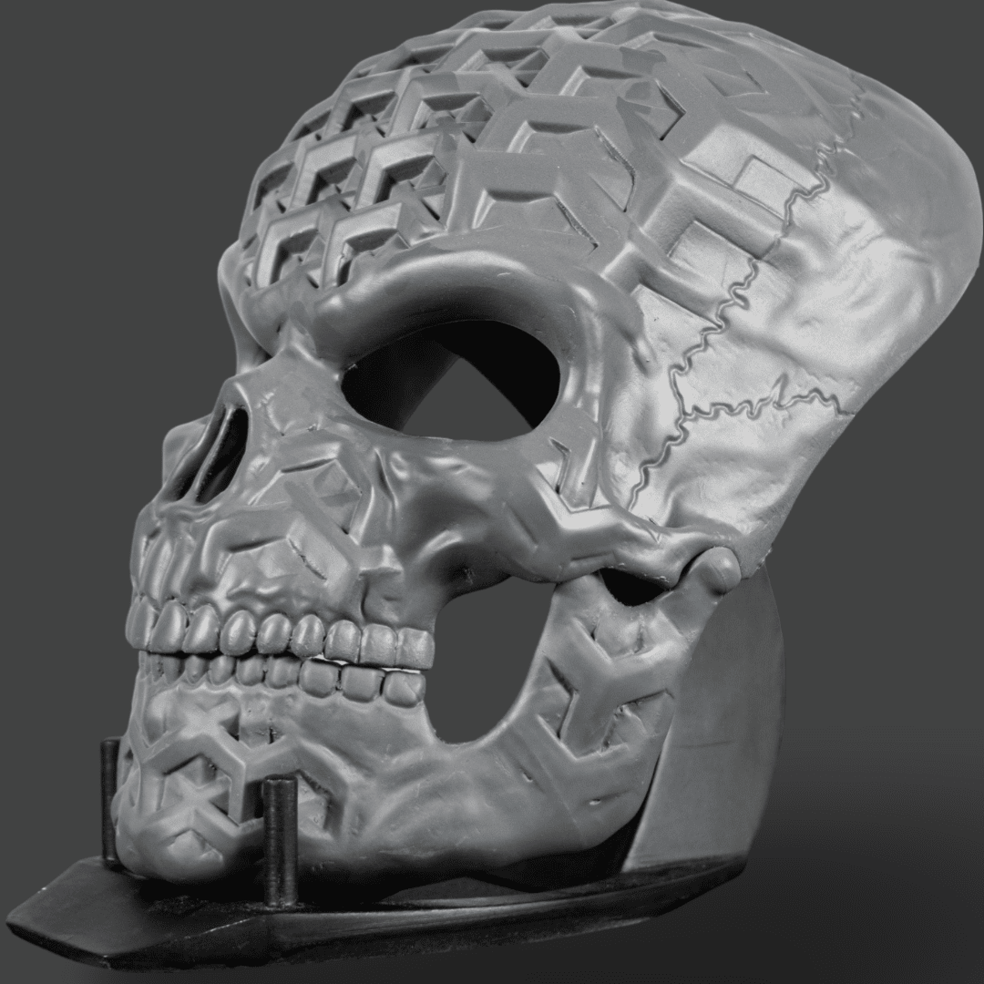 Human Skull Raw Kit 3D Print №4