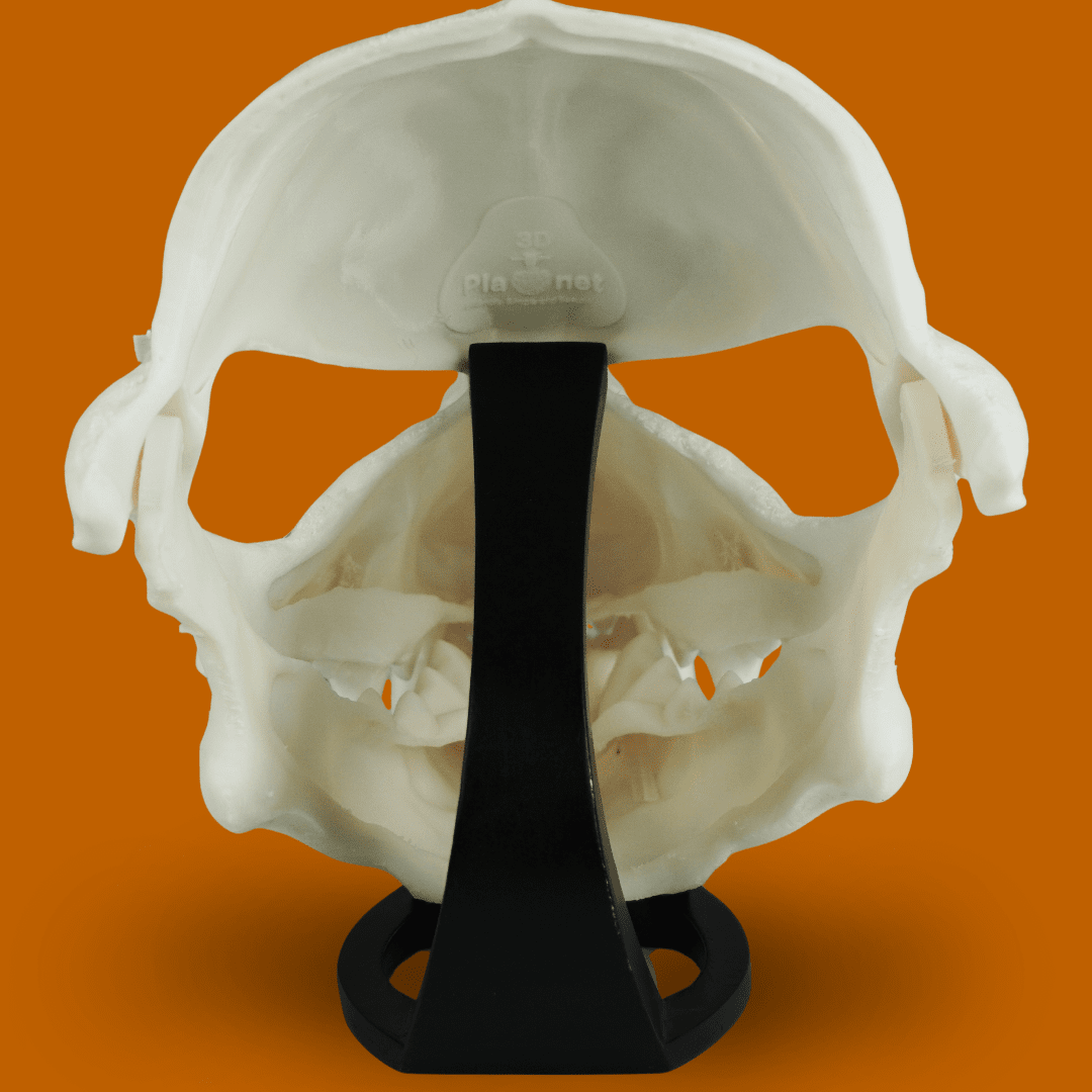 Wolf Skull Mask Raw Kit 3D Print