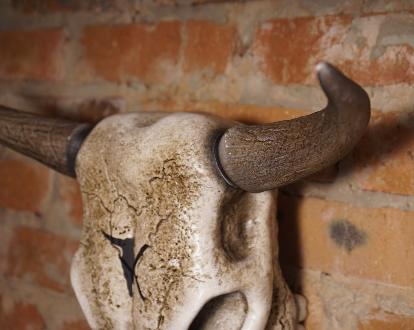 Bull Skull Bone Decor - Bull Horns Wall Sculpture