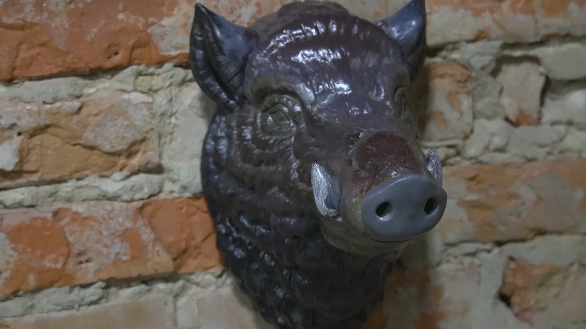 Wild Boar Wall Decor
