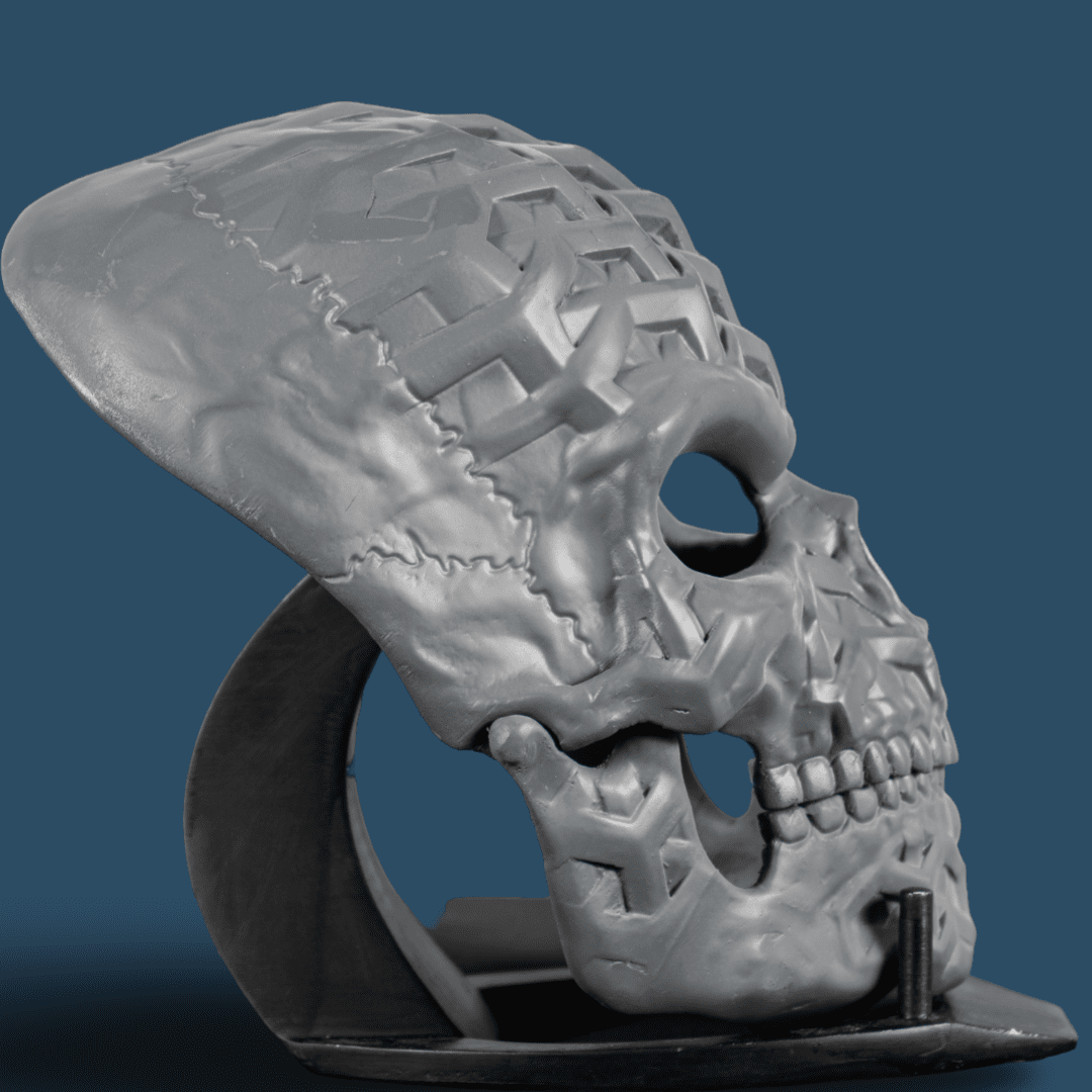 Human Skull Raw Kit 3D Print №3