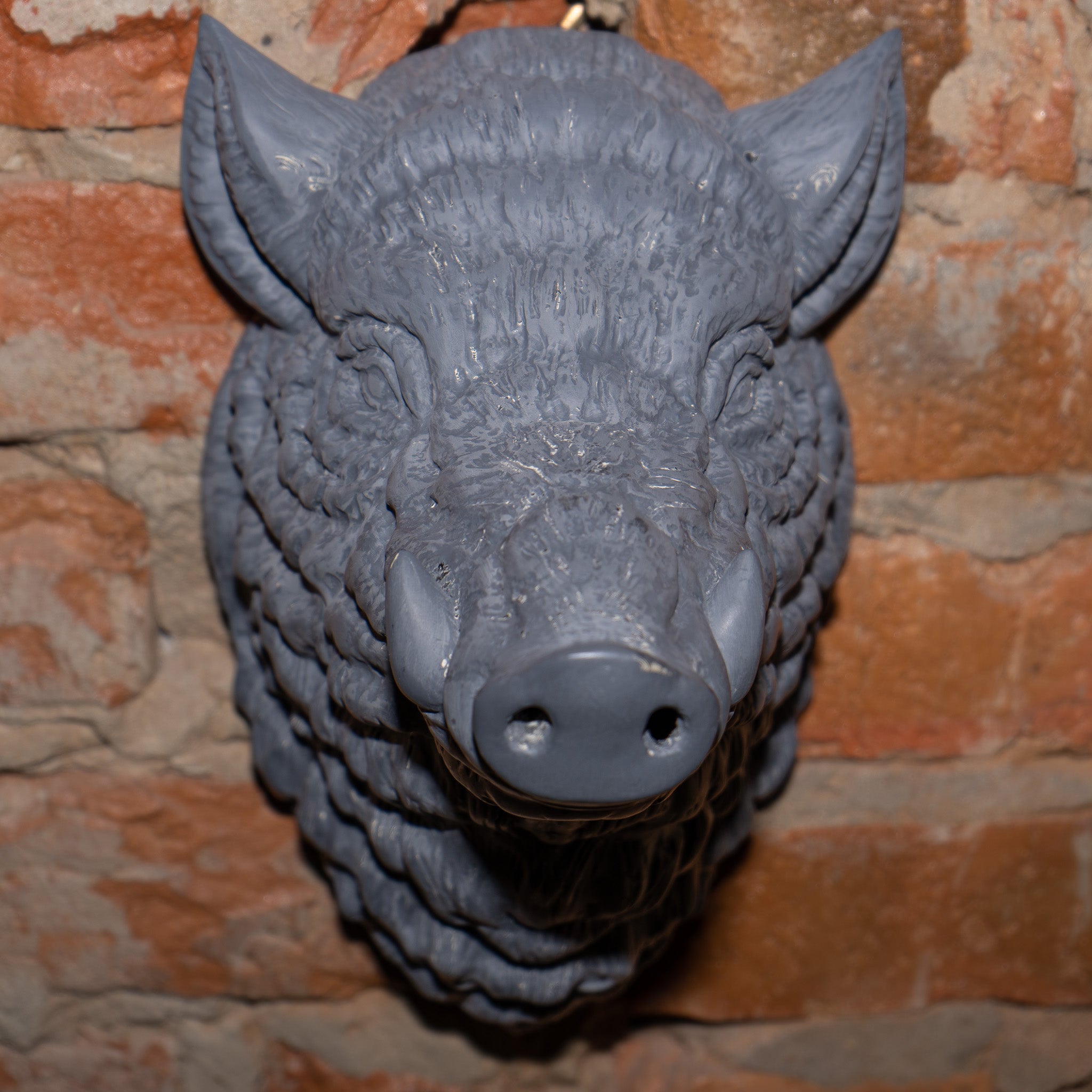 Wild Boar Wall Decor Raw Kit 3D Print