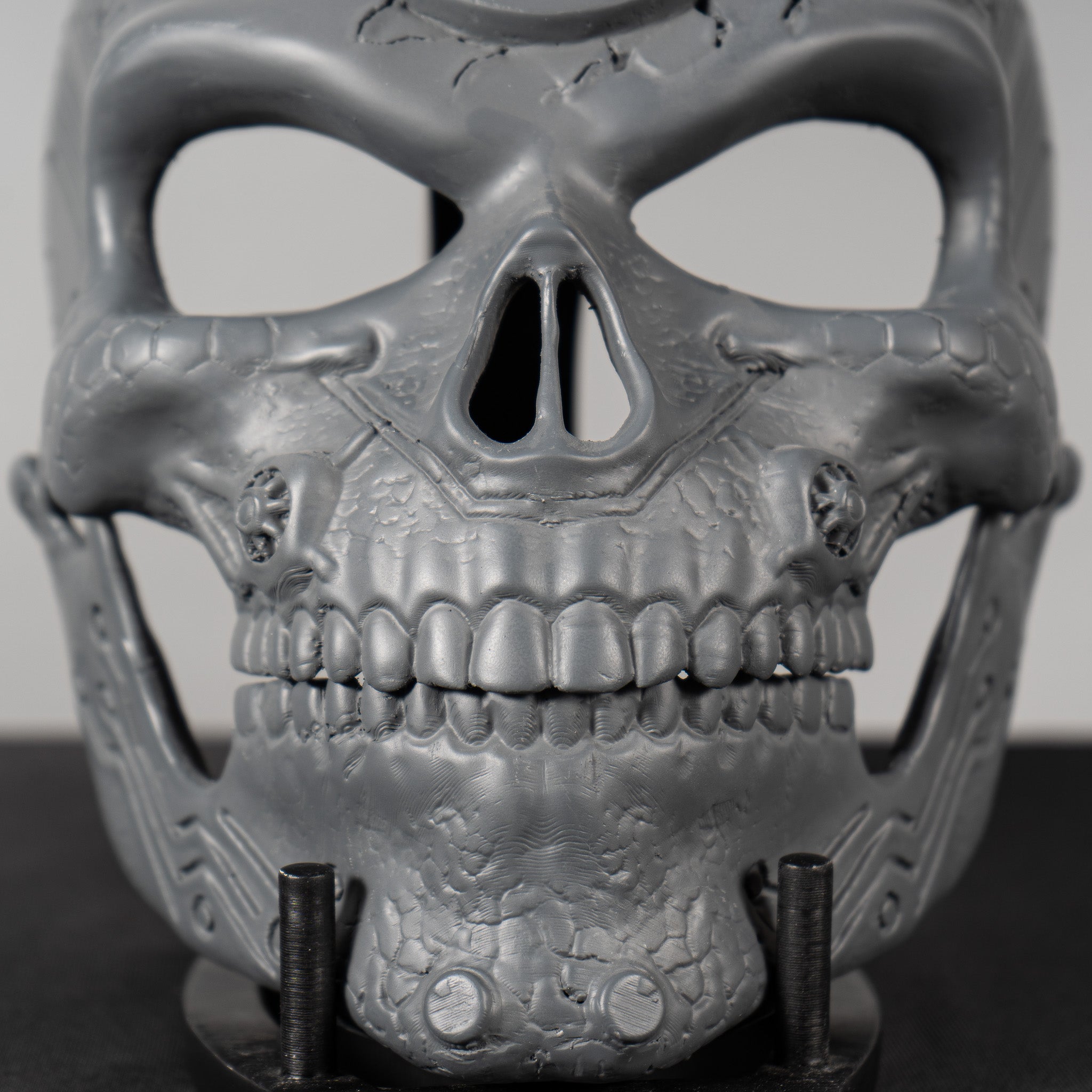 Human Skull Raw Kit 3D Print №1