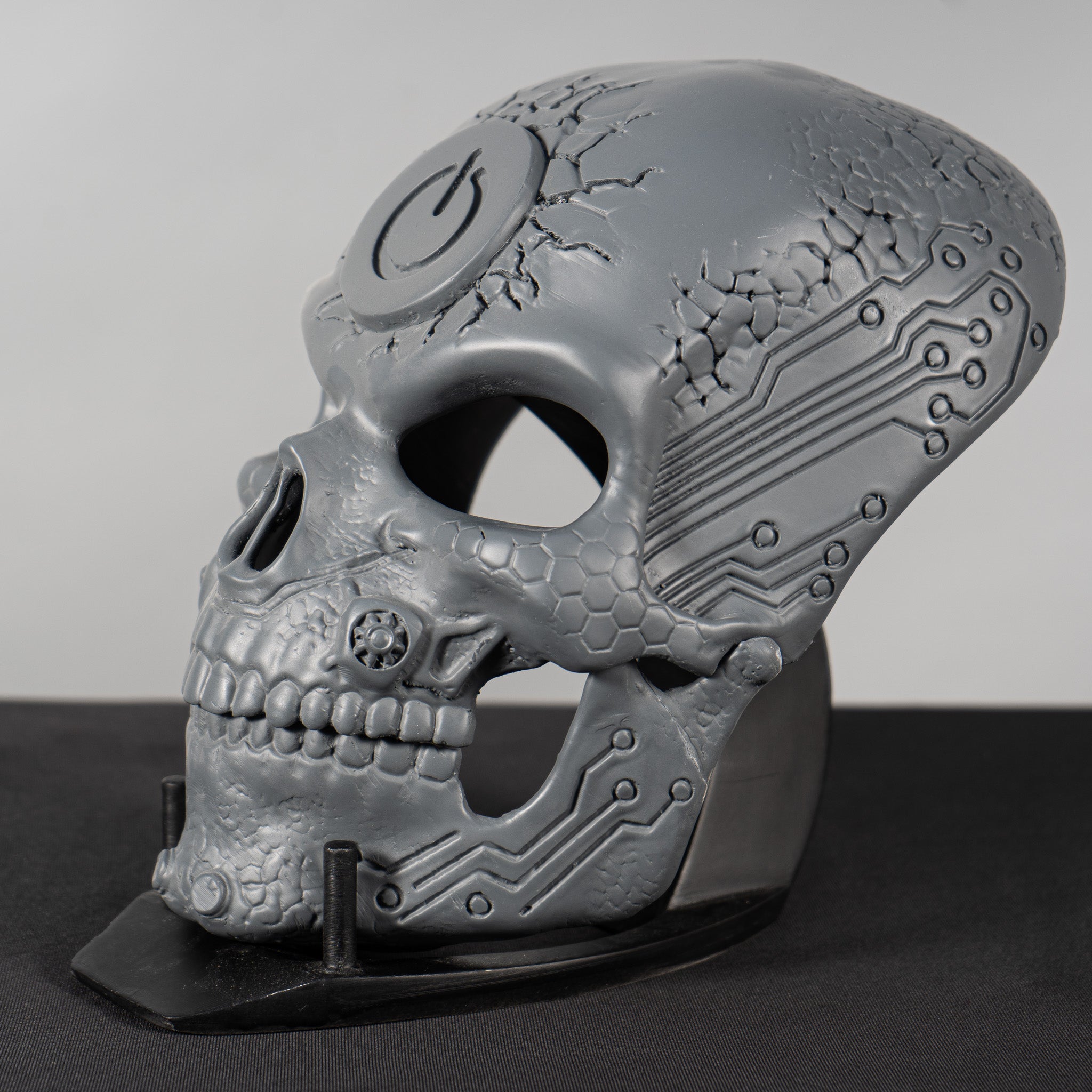 Human Skull Raw Kit 3D Print №1