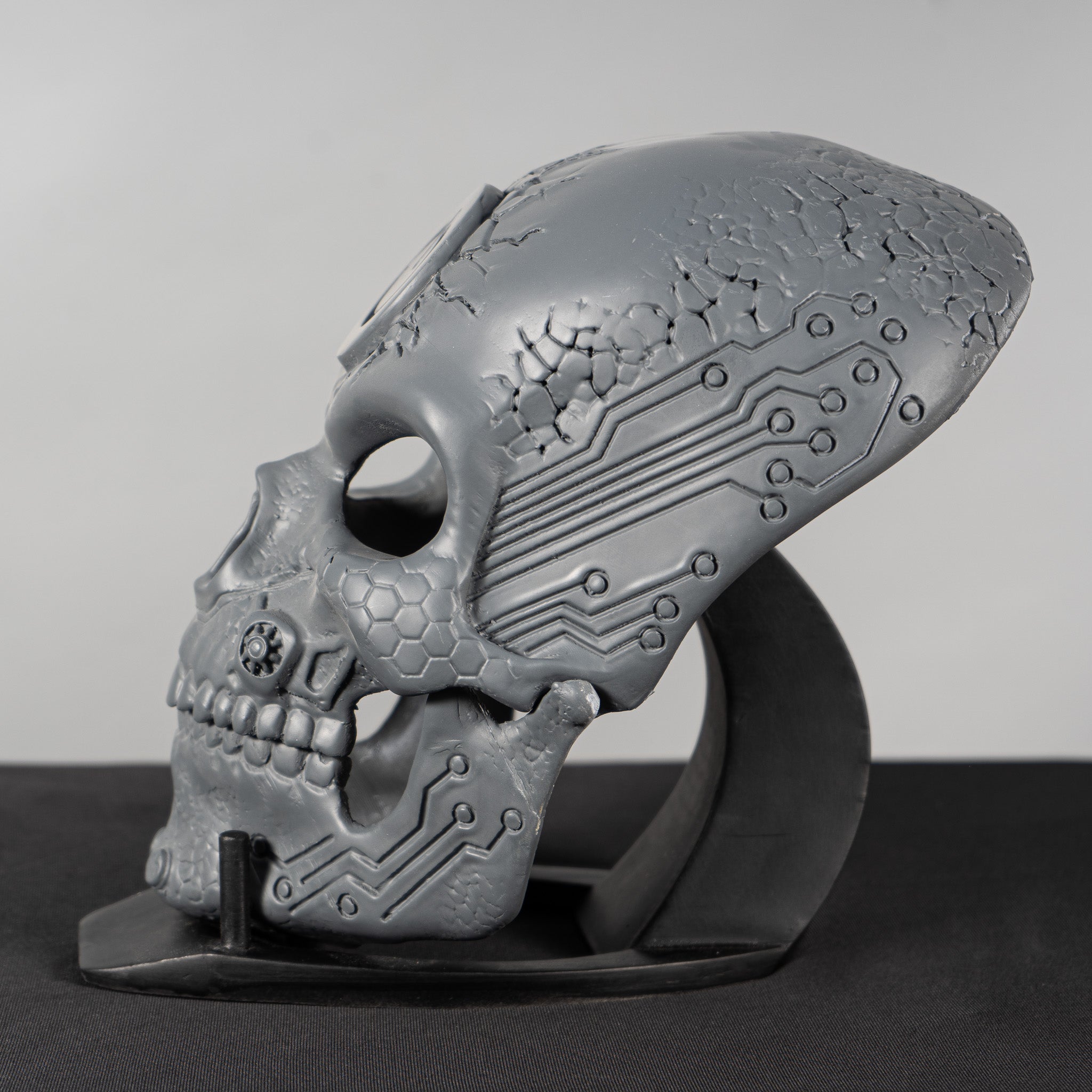 Human Skull Raw Kit 3D Print №1