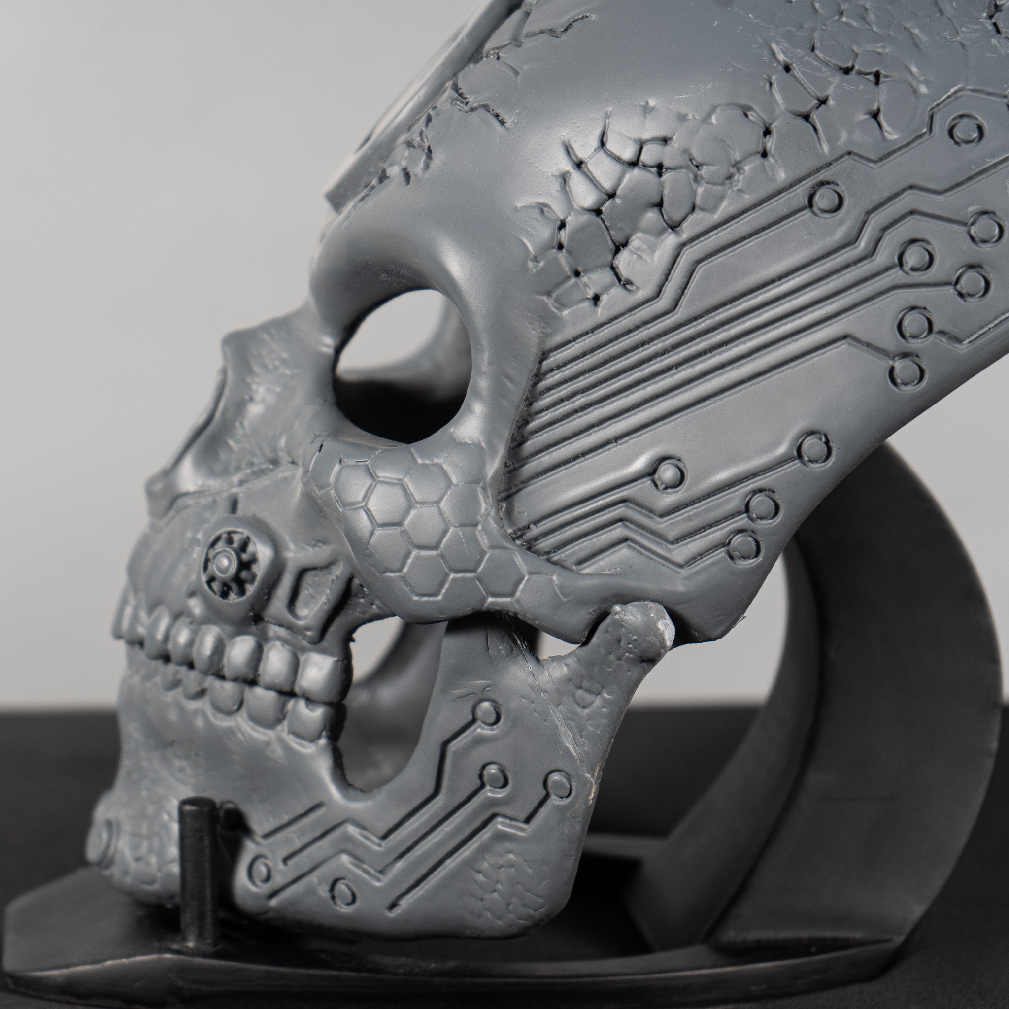 Human Skull Raw Kit 3D Print №1