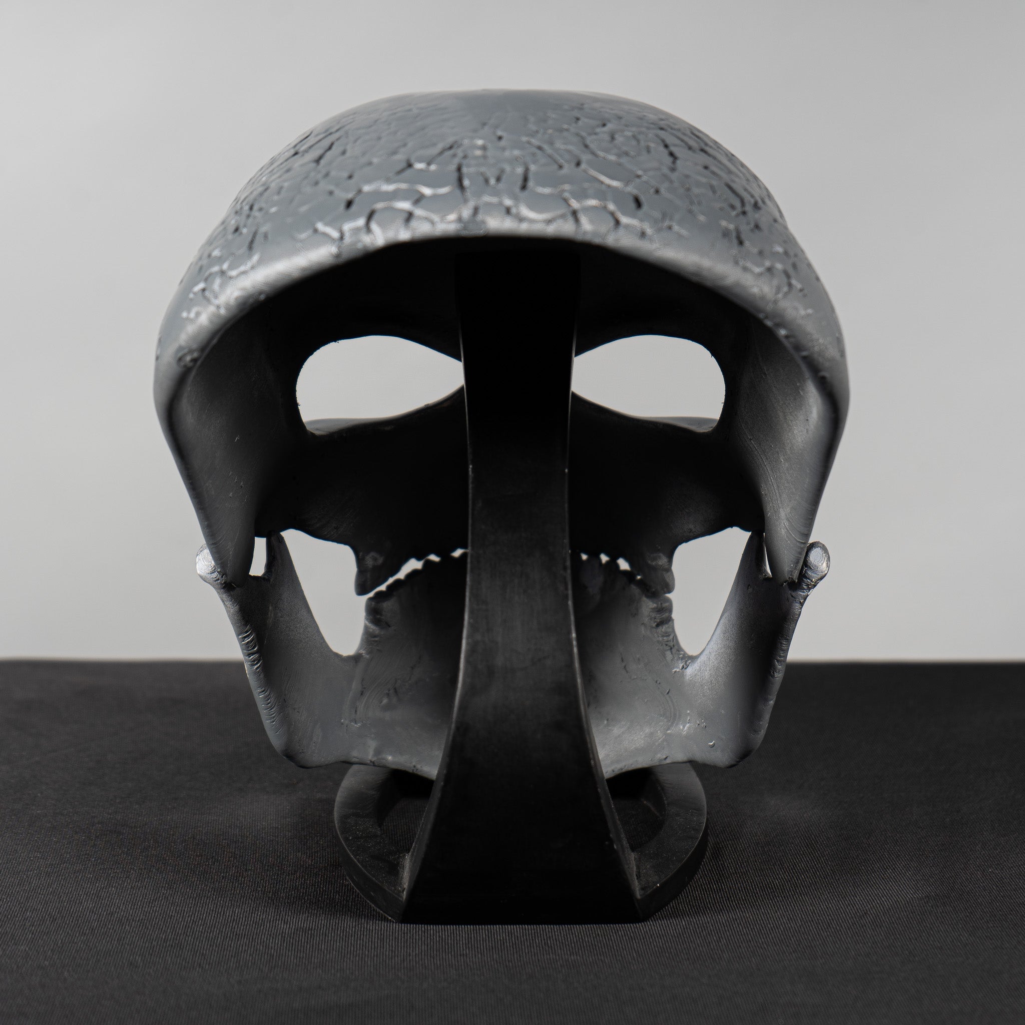 Human Skull Raw Kit 3D Print №1
