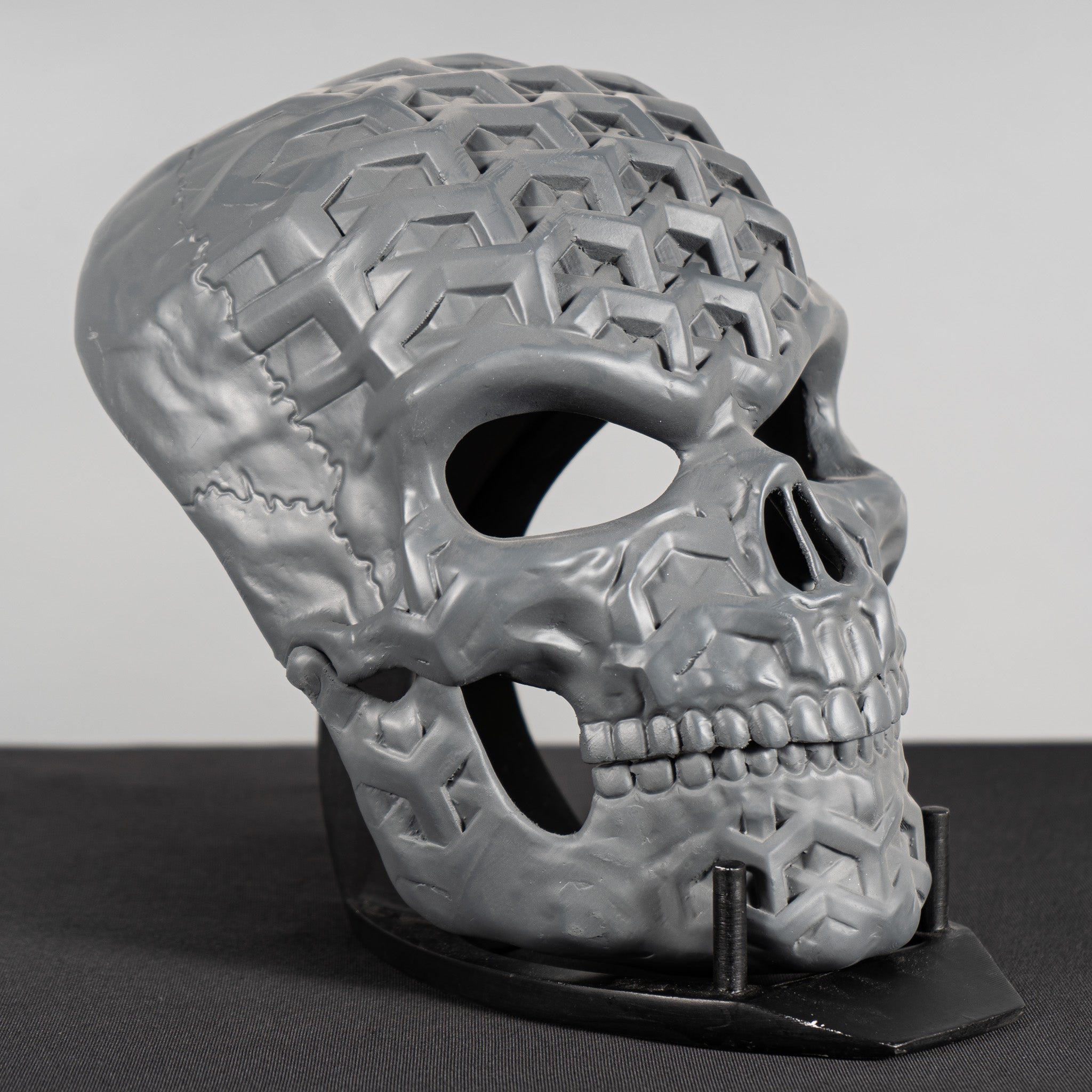 Human Skull Raw Kit 3D Print №4