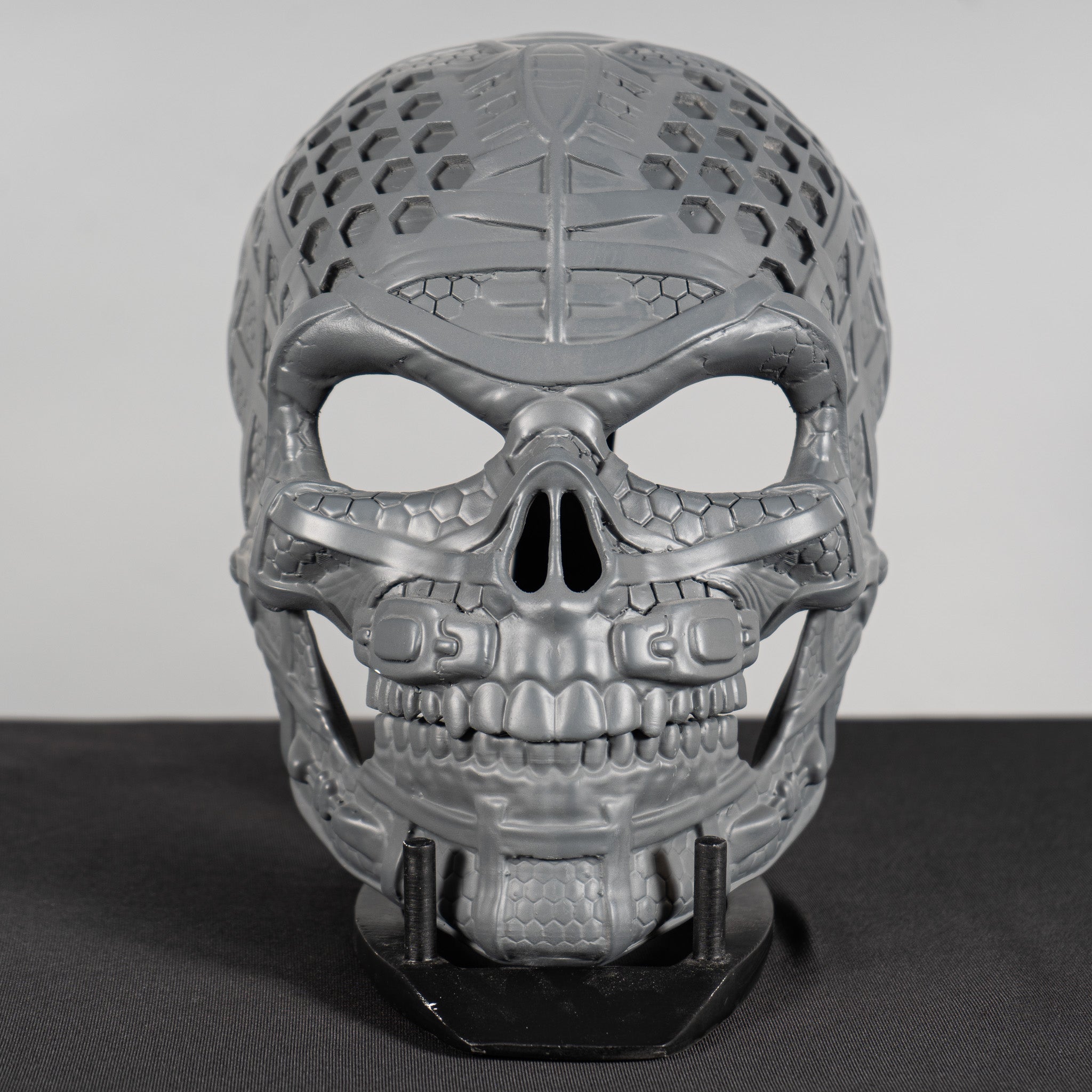 Human Skull Raw Kit 3D Print №3