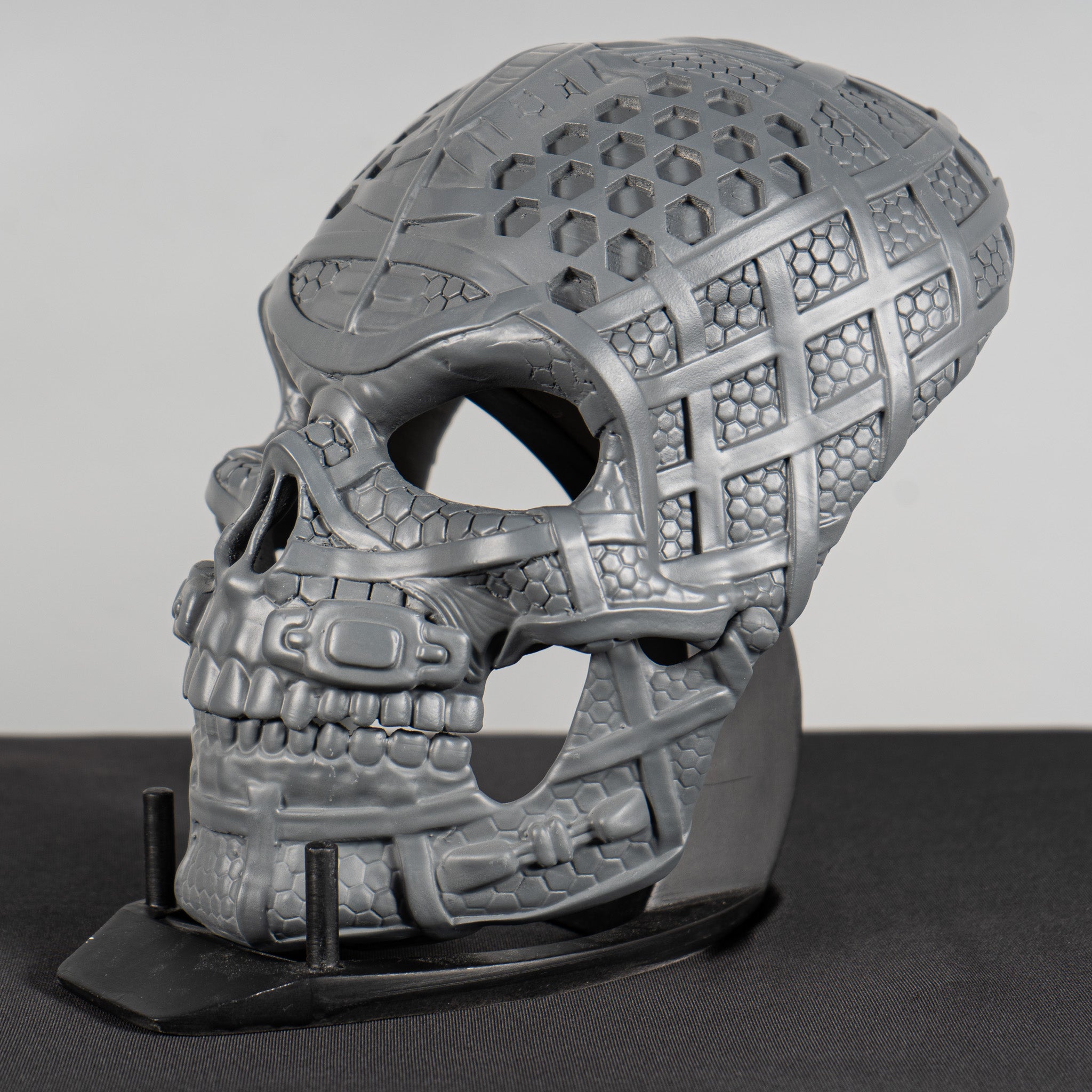 Human Skull Raw Kit 3D Print №3