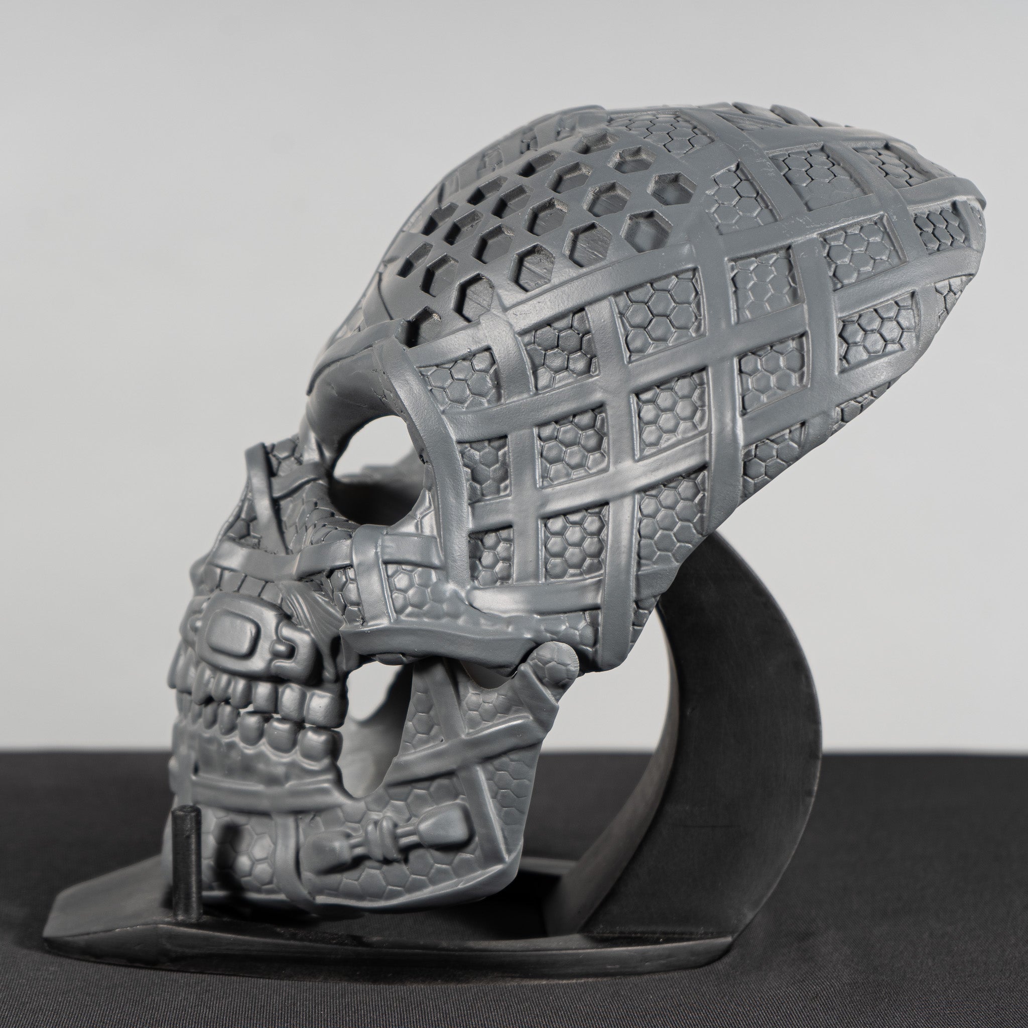 Human Skull Raw Kit 3D Print №3