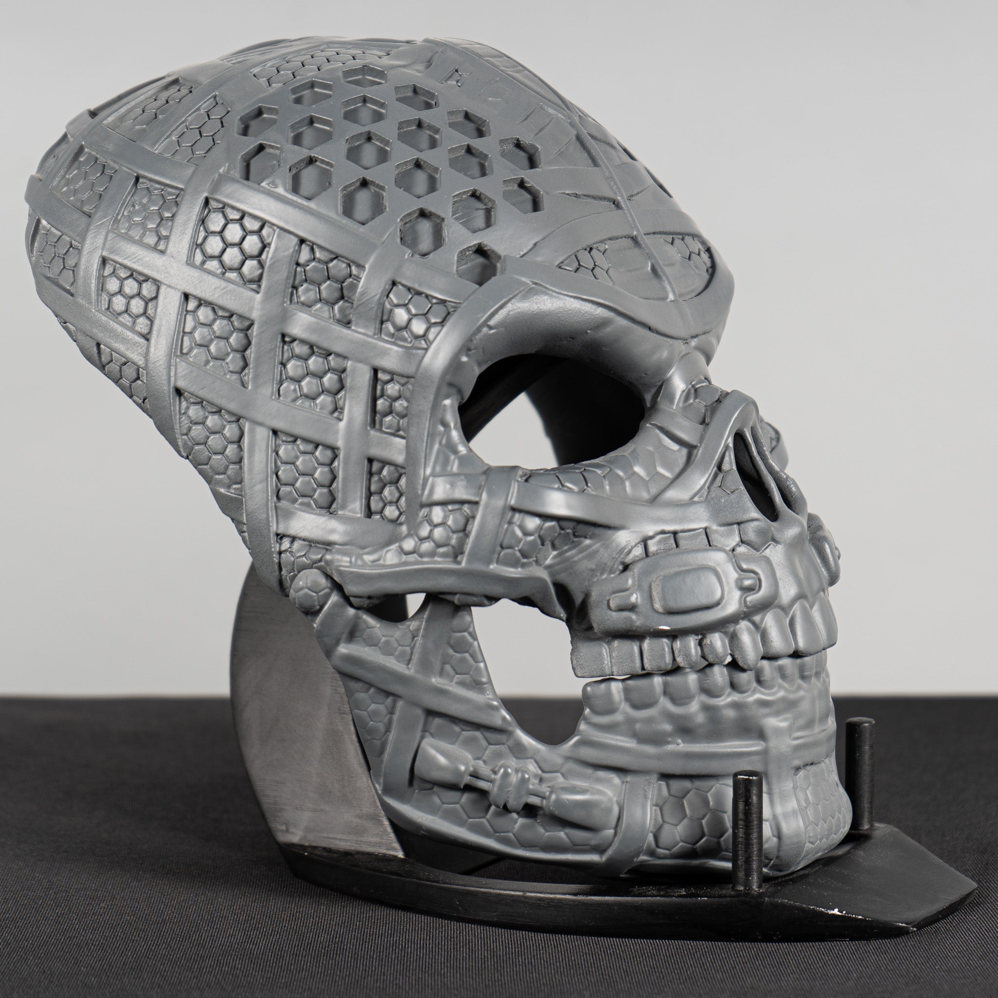 Human Skull Raw Kit 3D Print №3