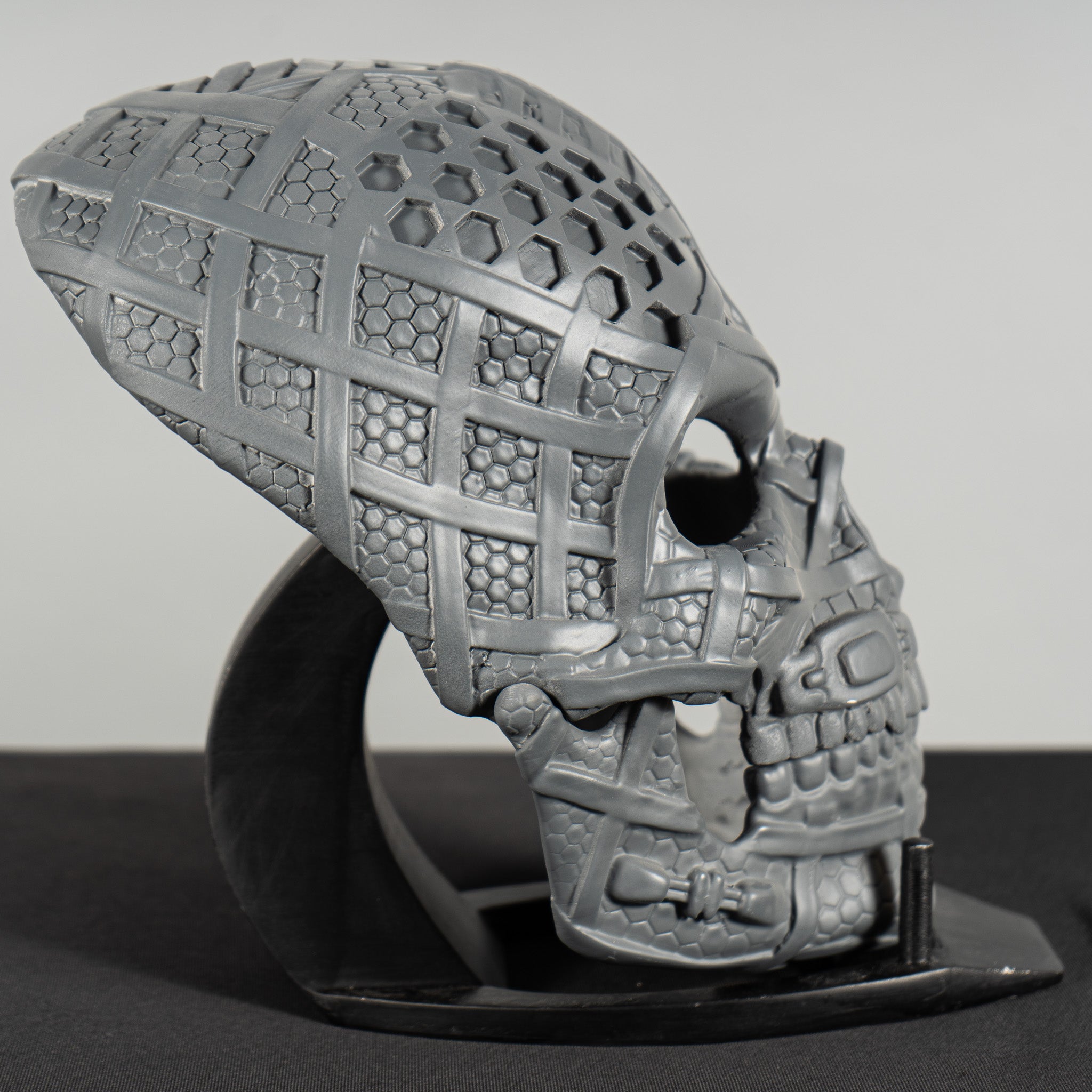 Human Skull Raw Kit 3D Print №3