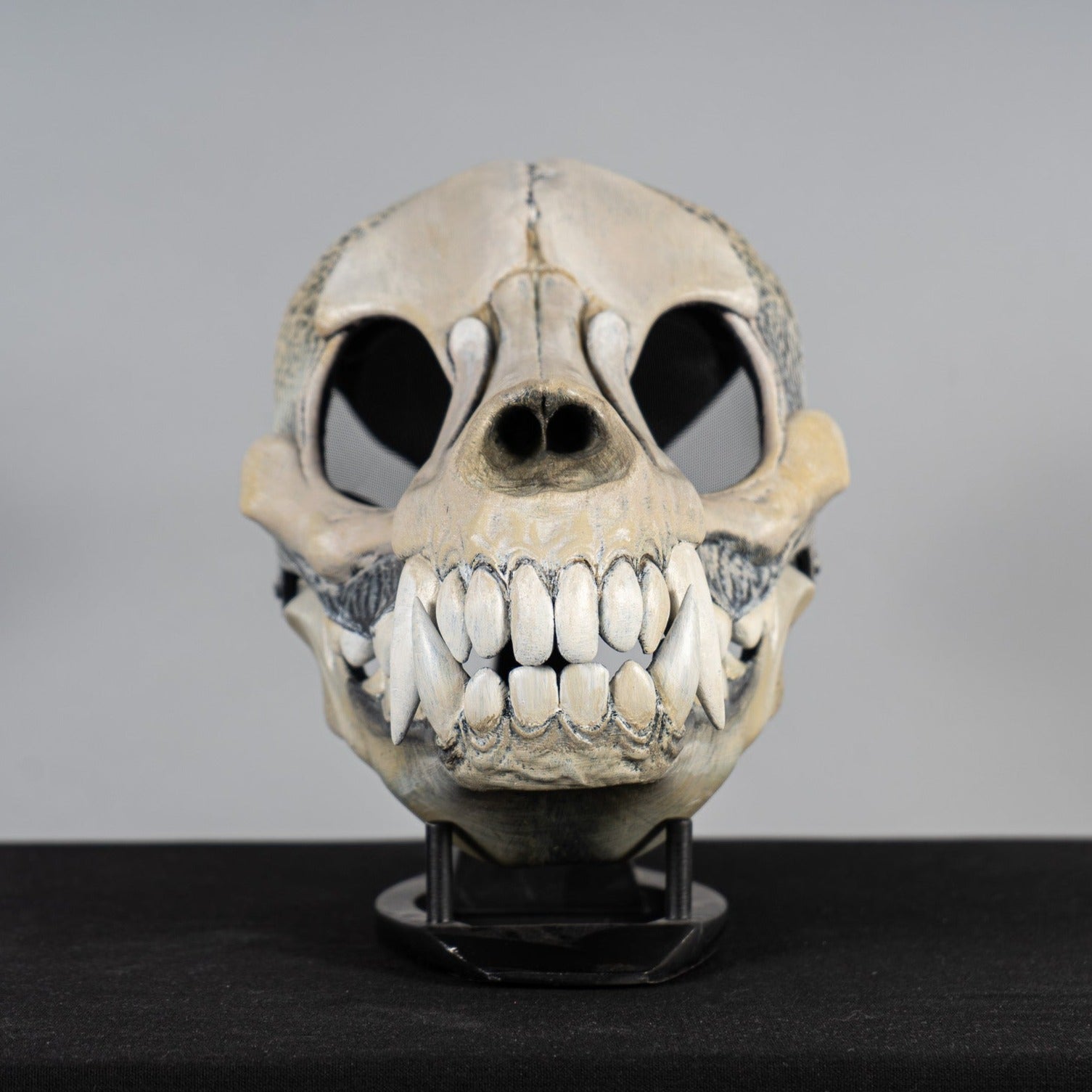 Wendigo mask NO HORNS Bone paint
