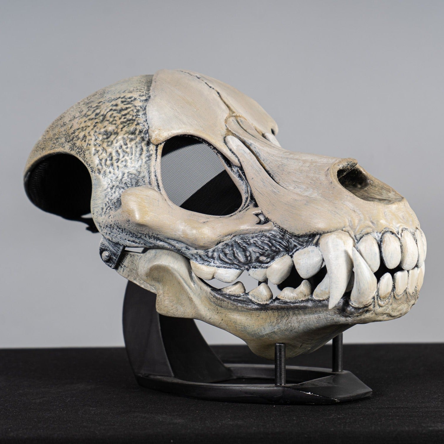 Wendigo mask NO HORNS Bone paint